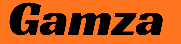 🎶 Radio Portal | Gamza.site – Live Online Radio, Music & Entertainment 📻✨
